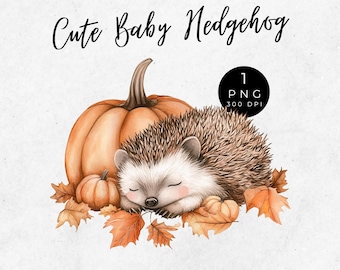 Watercolor Hedgehog Clipart: Fall Woodland Nursery Art (PNG Digital Download)
