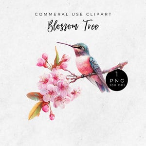 Kolibri und Blüte Clipart, Floralgrafiken, Natur Illustrationen, digitale Kolibri Kunst, einzigartige Designs, Blüte Clipart, druckbar
