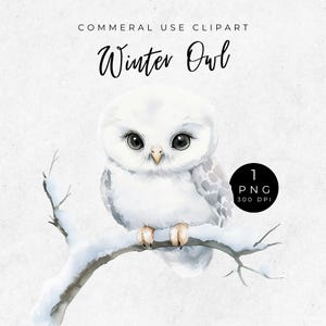 Clipart hibou des neiges bébé mignon, jolis graphiques harfang des neiges pour décoration de chambre d'enfant, aquarelle hibou des neiges, scrapbooking, travaux manuels, fabrication de cartes, bricolage