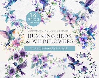 Watercolor Hummingbird Clipart: Floral PNG Graphics (Digital Download)