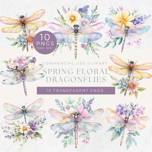 Clipart lente bloemen libellen, pastel libel illustratie, 10 prachtige libel png, scrapbooking, aquarel zomer libel png