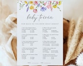 Baby Trivia Baby Shower Game, Printable Wildflower Baby Shower Activity, Editable Baby in Bloom Baby Shower Template, A12