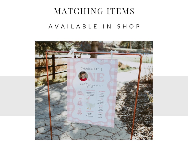 May include: A pink and white gingham sign with the text "CHARLOTTE'S ONE silly year" displayed on a copper frame. The sign includes a photo of a child and various icons. The top of the image reads "MATCHING ITEMS AVAILABLE IN SHOP."
