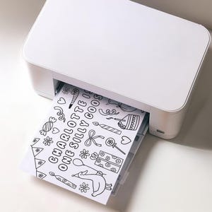 May include: A white printer is printing a black and white coloring page. The page features the text "CHARLOTTE ONE SILLY GOOSE" along with various illustrations of a birthday theme, including a cake, candles, and a dog with a balloon.