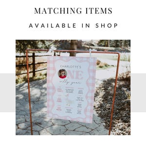 May include: A pink and white gingham-patterned sign with the text "CHARLOTTE'S ONE silly year" displayed on a copper frame. The sign includes a photo of a child and various icons. The words "MATCHING ITEMS AVAILABLE IN SHOP" are at the top.