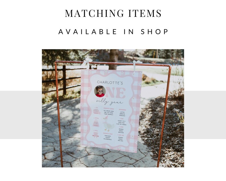 May include: A pink and white gingham-patterned sign with the text "CHARLOTTE'S ONE silly year" displayed on a copper frame. The sign includes a photo of a child and various icons. The words "MATCHING ITEMS AVAILABLE IN SHOP" are at the top.