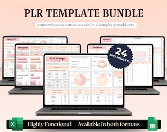 Paquete integral de planificación financiera: Plantillas de presupuesto de Excel y Hojas de cálculo de Google con PLR