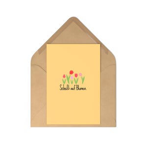 Pack féministe de 7 cartes de vœux cartes postales baise fleurs tulipes je veux l'égalité cartes postales égalité (7 pièces) fille