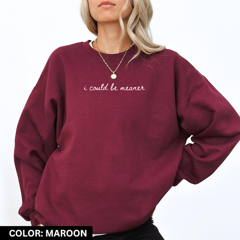 I Could Be Meaner Sweatshirt Funny Humor Sweatshirt Sarcastic Sweatshirt Funny Quote Sweatshirt Sarcasm Shirt Trendy Shirt for Women image 7