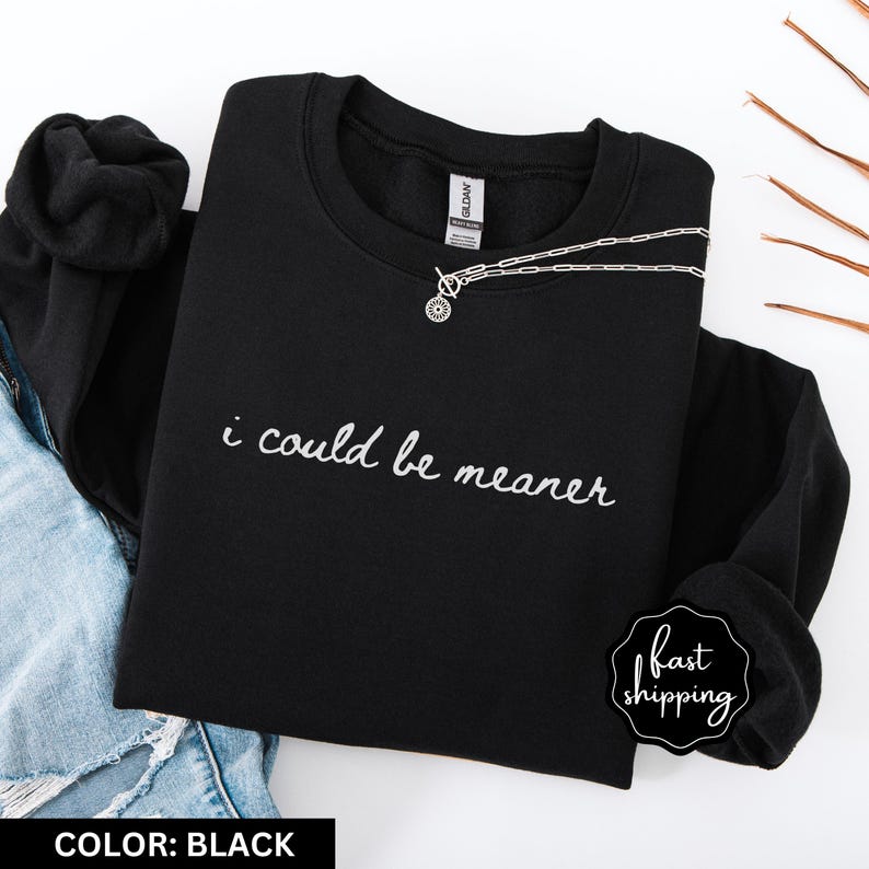 I Could Be Meaner Sweatshirt Funny Humor Sweatshirt Sarcastic Sweatshirt Funny Quote Sweatshirt Sarcasm Shirt Trendy Shirt for Women image 10