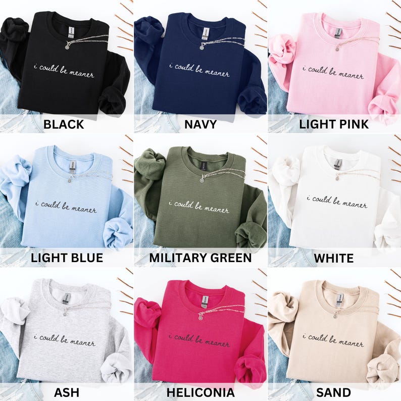 I Could Be Meaner Sweatshirt Funny Humor Sweatshirt Sarcastic Sweatshirt Funny Quote Sweatshirt Sarcasm Shirt Trendy Shirt for Women image 4