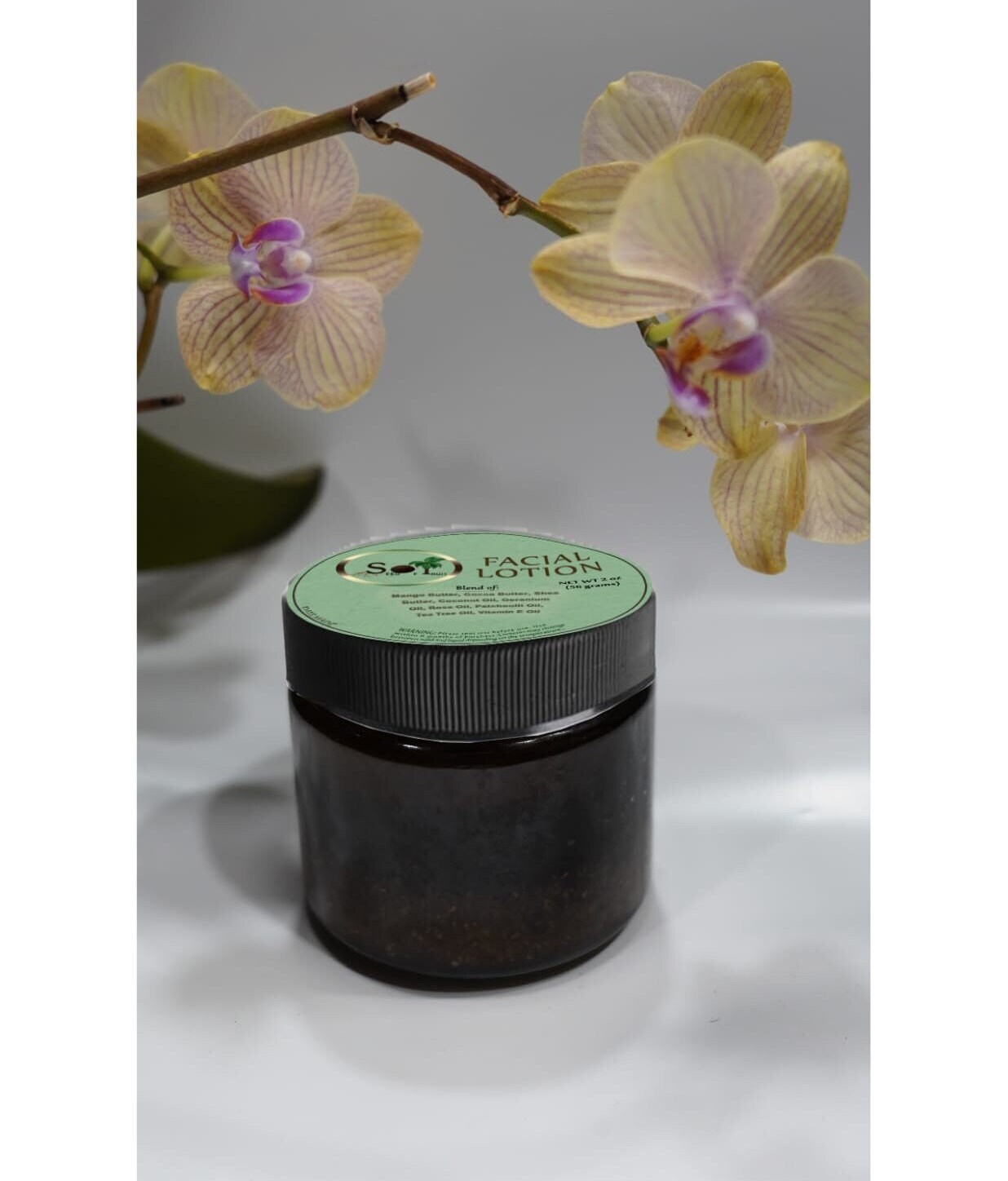Handmade Facial Lotion | All Natural | No Additives or Preservatives | Any Skin Type | Customizable | Made-to-Order