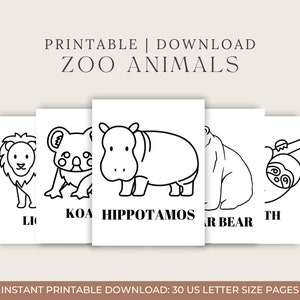 Zoo Animals Printable Coloring Pages | Digital Download Sheets for Adults, Kids, and Teachers | Fun and Creative Zoo Animal Coloring Sheets