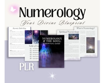 Spiritual PLR NUMEROLOGY Guide Digital Download With Private Label Rights | Journal Prompts & Workbook | PLR Digital Products to resell