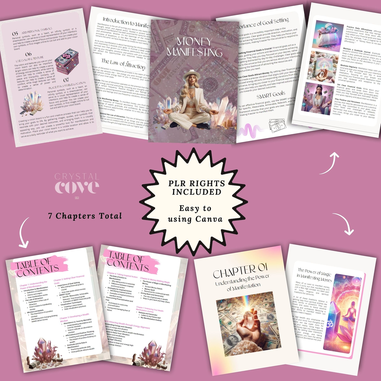 PLR Money Manifesting Manifestation Guide With Private Label Rights ...