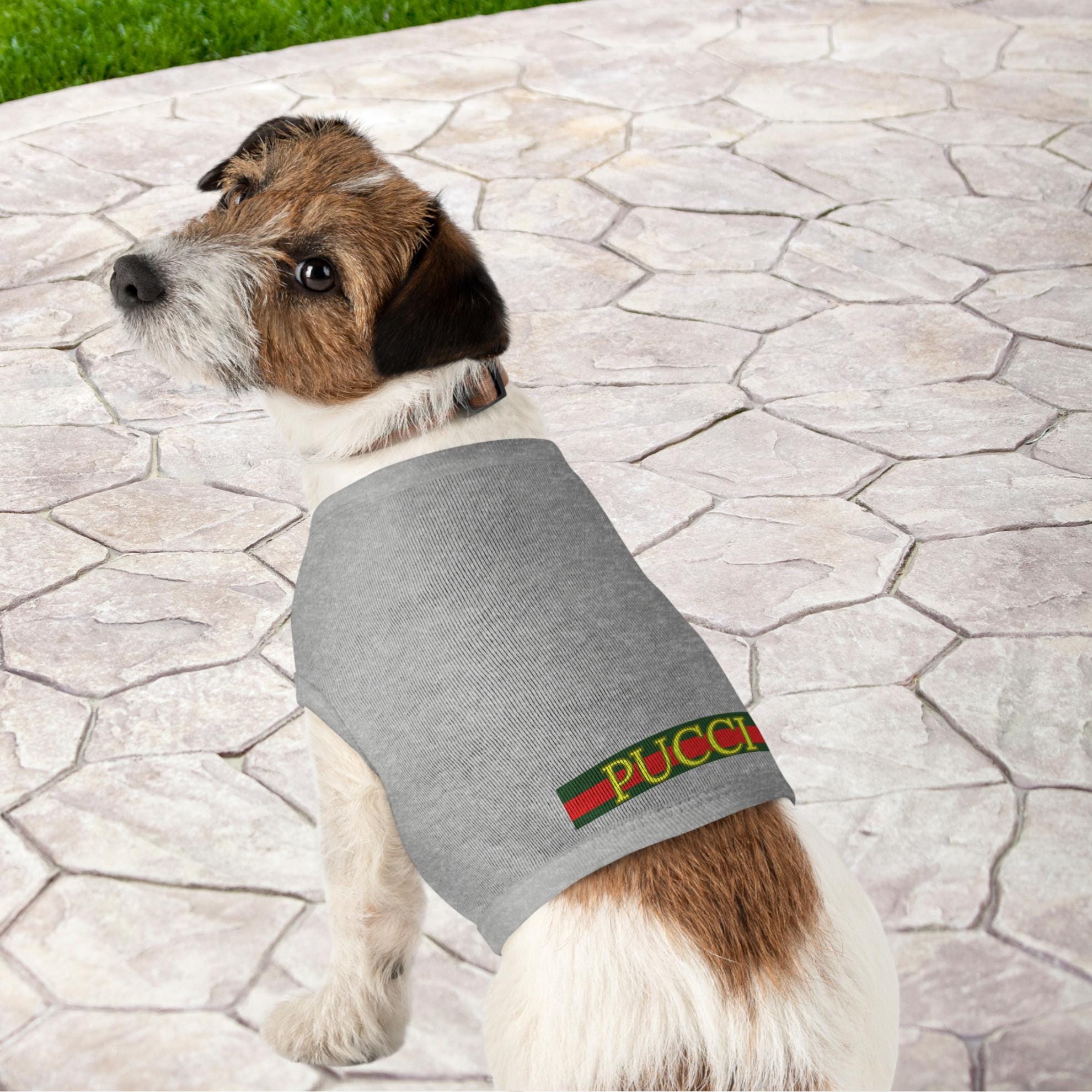 Gucci Inspired Gucci Dog Clothes Amazon Best Christmas Jumpers For