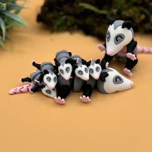 3D printed opossum fidget, sensory toys, cute possum 3D print gift, Gift idea for opossum and animal lovers, or birthdays