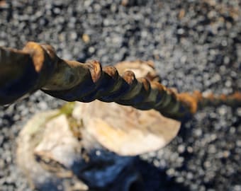 ONE-OF-A-KIND wood and vine Tennessee walking stick. Unique walking staff with original vine secured to the main shaft.