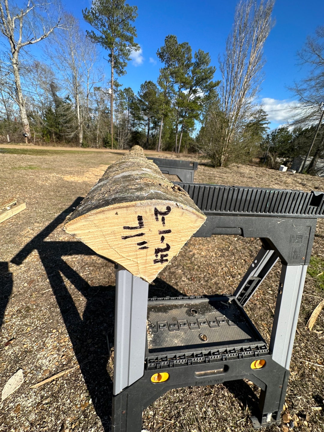 Hackberry Bow Stave Etsy