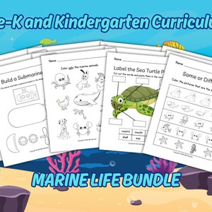 幼児向けの海洋生物カリキュラム。デイケア、ホームスクール、幼稚園、保育園向けの週単位のカリキュラム。