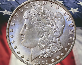 1901 Morgan Dollar Silver Plated Coin Modern RESTRIKE Token - Uncirculated