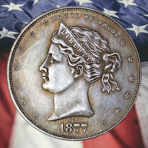 1878 Liberty Head Silver Dollar 1ドル銀貨 375076_1.png