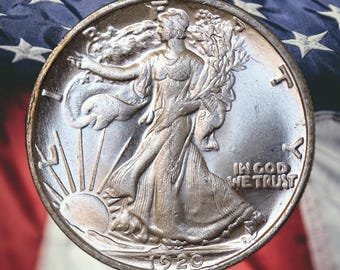 1920-D Walking Liberty Half Dollar Silver Plated Coin Modern RESTRIKE Token - Unc