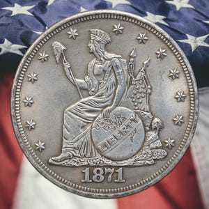 May include: A silver coin with a seated figure of Liberty holding a staff and a shield. The coin has a date of 1871 and the word "LIBERTY" inscribed on the shield.