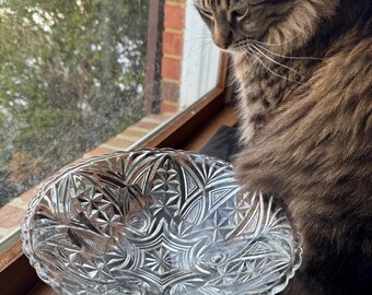 Large Etched Glass Cat Bowl: Elegant Food & Water Dish