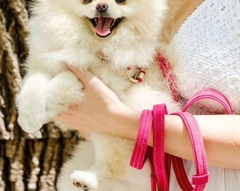 May include: A small white fluffy dog with a pink collar and leash is being held by a person wearing a white lace top.