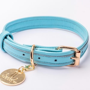 Dog Collar ITALIAN blue LEATHER Gift For Dog Lovers – Luxury Gold Finish Hardware And Genuine Leather Dog Collar