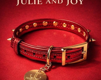 Italian Red Leather Spiked Dog Collar – Luxury Gold Hardware, Lambskin Pet Accessory