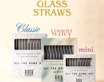 Reusable Glass Drinking Straws - Grey & Colorful, 10-Piece Set