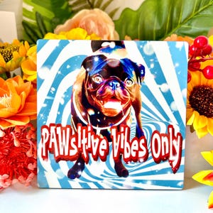 Pu&ograve; includere: Un cartello quadrato colorato con un carlino nero che indossa un collare bianco. Lo sfondo &egrave; un motivo a spirale blu e bianco. Il testo sul cartello dice "PAWSitive Vibes Only".