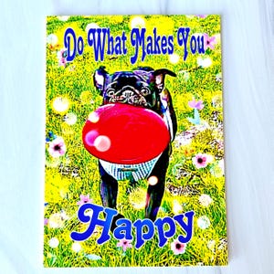 May include: A black pug dog with a red frisbee in its mouth, standing on a green grassy field with flowers and the text "Do What Makes You Happy" in blue letters.
