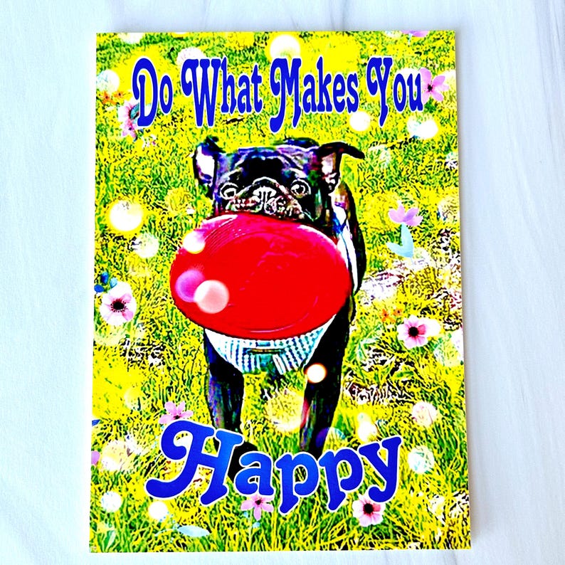 Puede incluir: Un perro pug negro con un frisbee rojo en la boca, de pie en un campo de hierba verde con flores y el texto "Do What Makes You Happy" en letras azules.