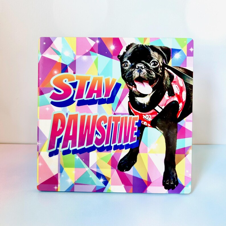 Op de afbeelding: Een kleurrijk vierkant bord met een zwarte mopshond die een rood tuigje draagt. Het bord heeft een geometrisch patroon en de woorden "Stay Pawsitive" in een regenboogkleurig lettertype.