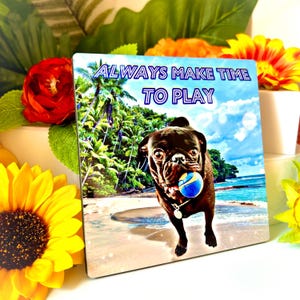 May include: A black pug dog with a blue ball in its mouth stands on a beach with palm trees and blue sky. The text "ALWAYS MAKE TIME TO PLAY" is written in blue and white letters on the top of the image.