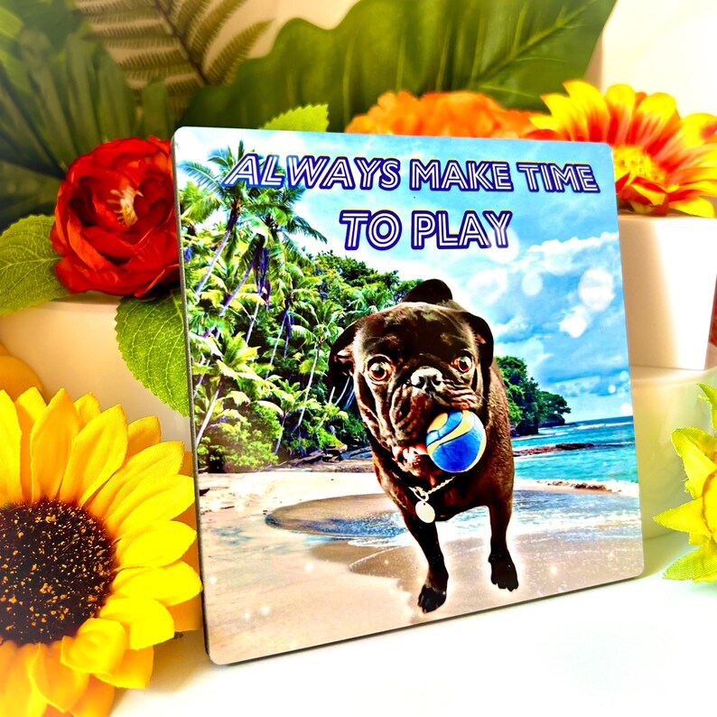 May include: A black pug dog with a blue ball in its mouth stands on a beach with palm trees and blue sky. The text "ALWAYS MAKE TIME TO PLAY" is written in blue and white letters on the top of the image.