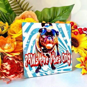 Pu&ograve; includere: Un cartello quadrato colorato con un carlino dei cartoni animati che indossa occhiali da sole e un collare rosso. Lo sfondo &egrave; un motivo a spirale blu e bianco. Il testo sul cartello recita "PAWSitive Vibes Only".