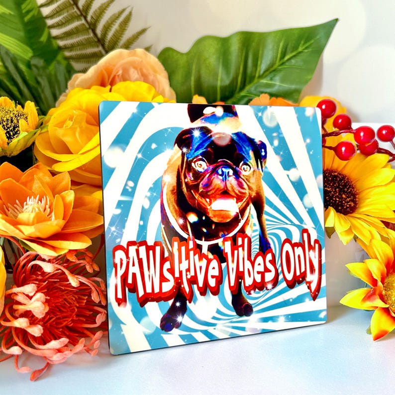 Pu&ograve; includere: Un cartello quadrato colorato con un carlino dei cartoni animati che indossa occhiali da sole e un collare rosso. Lo sfondo &egrave; un motivo a spirale blu e bianco. Il testo sul cartello recita "PAWSitive Vibes Only".