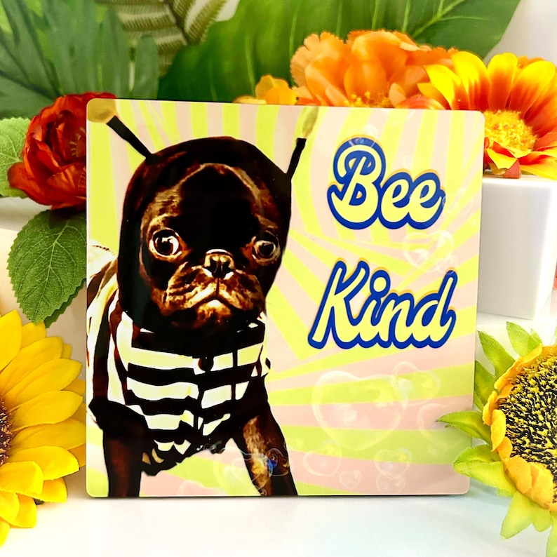 May include: Square sign with a black pug dressed as a bee, wearing a striped shirt and antennae. The sign has the words "Bee Kind" in blue lettering on a yellow background with a heart pattern.
