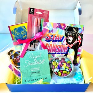 Op de afbeelding: Een blauwe doos gevuld met verschillende geschenken, waaronder een kaart met een mops erop, een kaart met de tekst "Stay Pawsitive", een zakje thee, een blikje snoep en drie pennen. De doos is gevuld met groen grasachtig materiaal.
