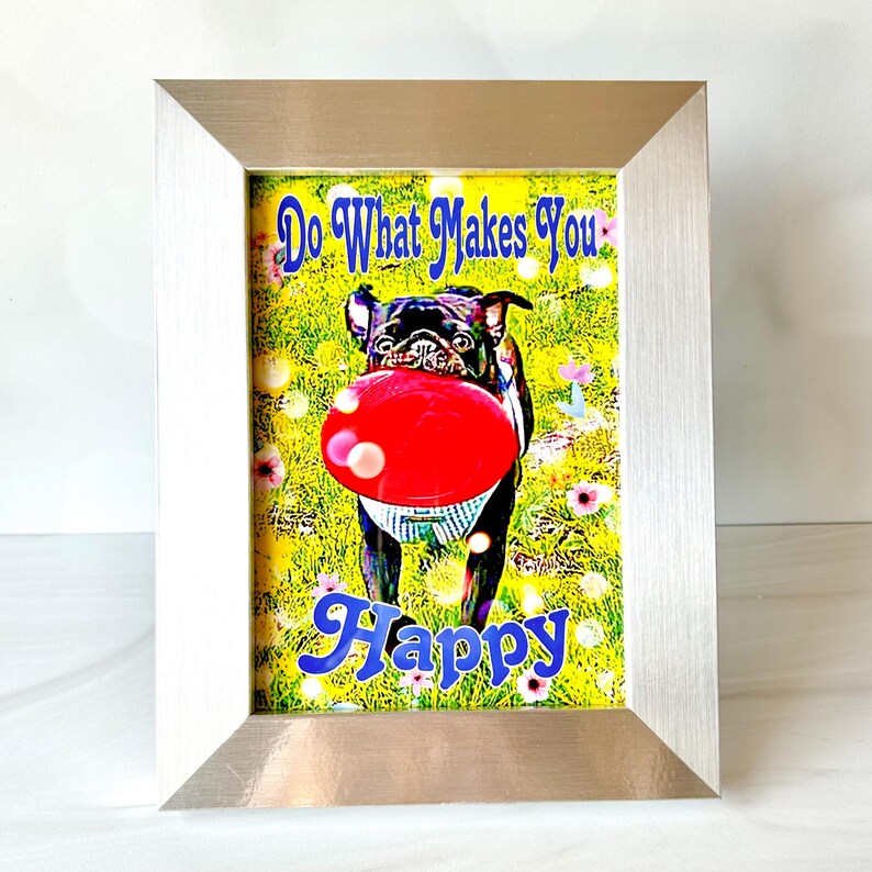 Puede incluir: Una impresi&oacute;n enmarcada con una imagen colorida de un perro pug negro atrapando un frisbee rojo en un campo de hierba verde con flores rosas. El texto "Do What Makes You Happy" est&aacute; escrito en letras azules en la parte superior de la imagen.