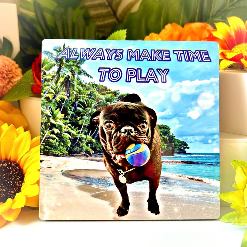 May include: A black pug dog with a playful expression is holding a purple and yellow ball in its mouth. The dog is standing on a beach with palm trees and blue sky in the background. The text "ALWAYS MAKE TIME TO PLAY" is written in blue and white letters on the top of the image.