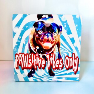 Pu&ograve; includere: Un'illustrazione colorata di un carlino con il testo "PAWSitive Vibes Only" in lettere rosse su uno sfondo blu e bianco a spirale.