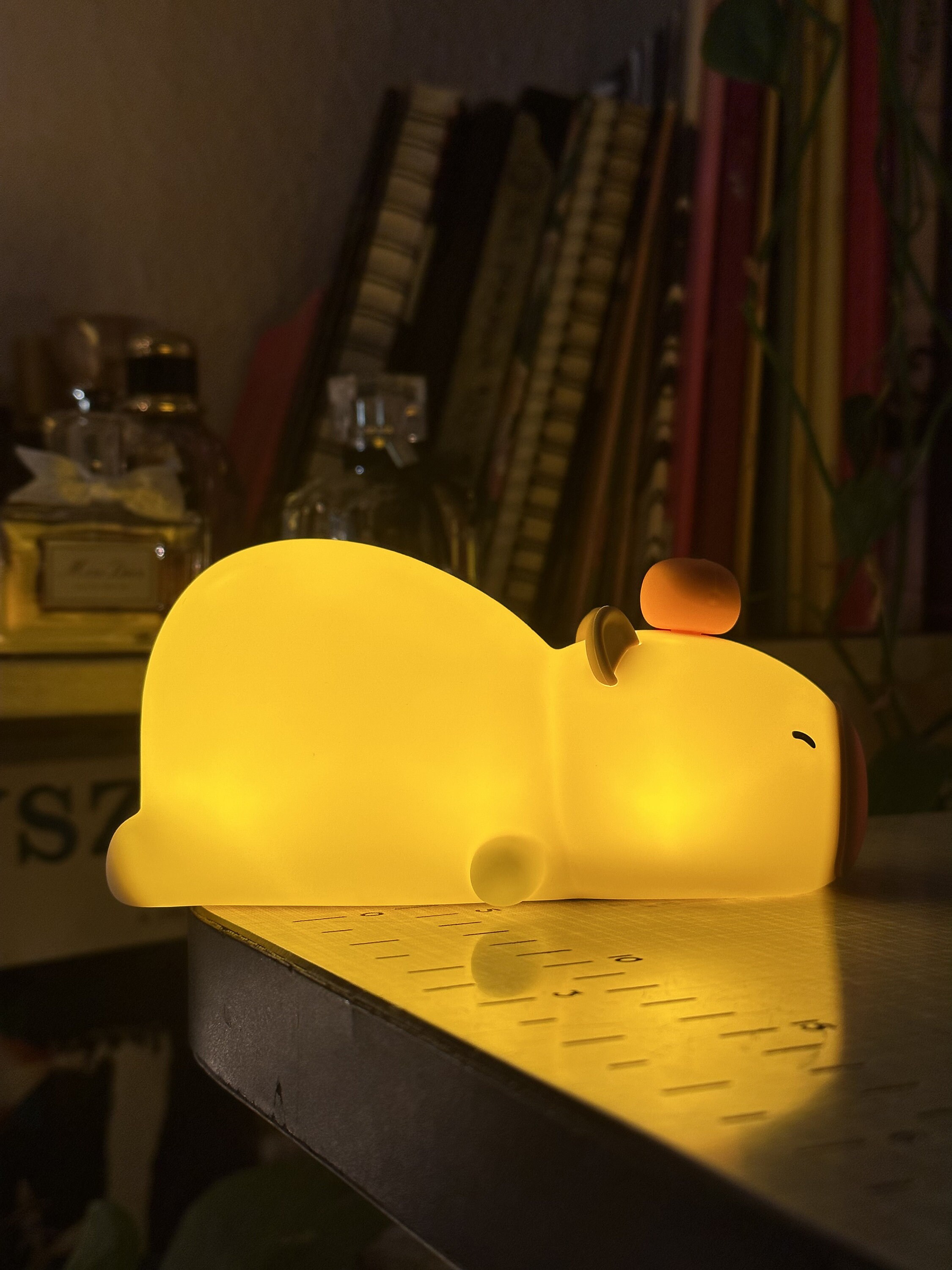 Kawaii Capybara Squishy Rechargeable Night Light Cute Night Light for