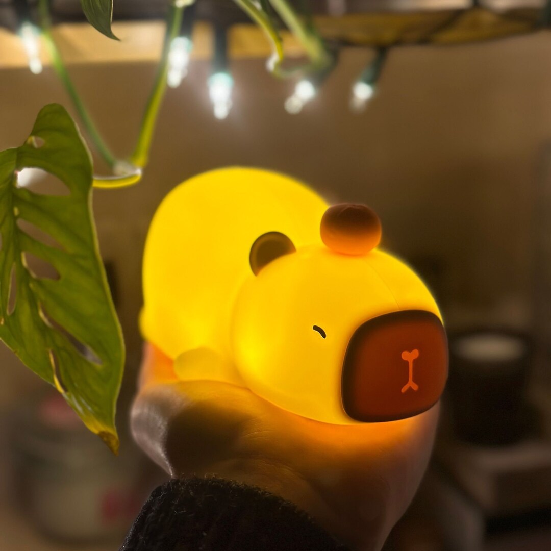 Kawaii Capybara Squishy Rechargeable Night Light Cute Night Light for