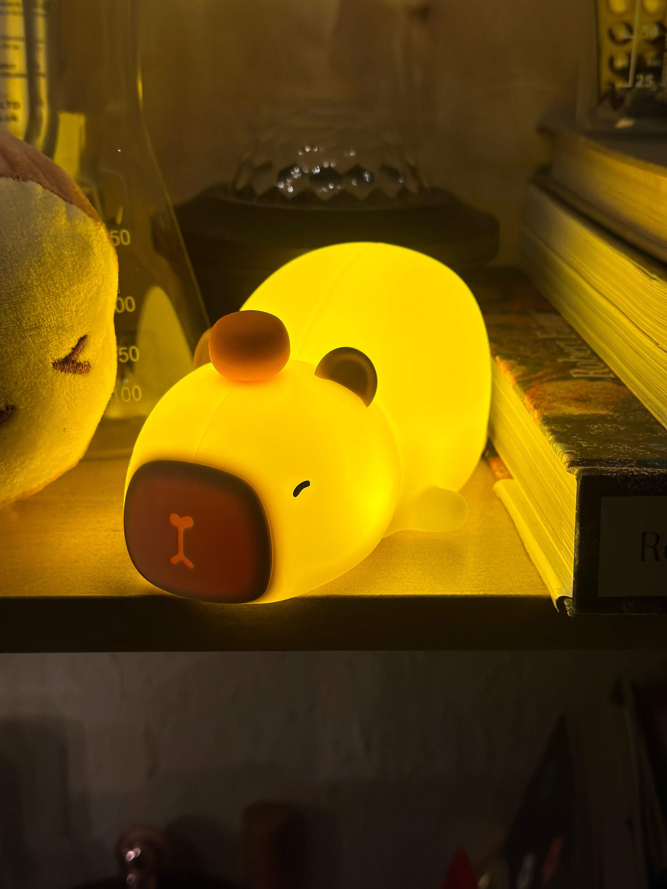 Kawaii Capybara Squishy Rechargeable Night Light Cute Night Light for