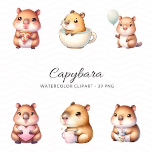 Cuddly Capybara Clipart Collection - Lindos capibaras de acuarela PNG, Descarga digital para Scrapbooking, Invitaciones, Decoración para niños